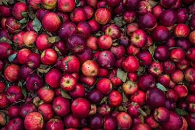 manzanas